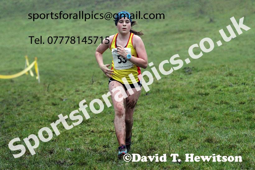 Girls under-15s, NECAA Junior Cross Country Relays, Thornley Farm, Peterlee, Saturday, December 12th. Photo: David T. Hewitson/Sports for All Pics